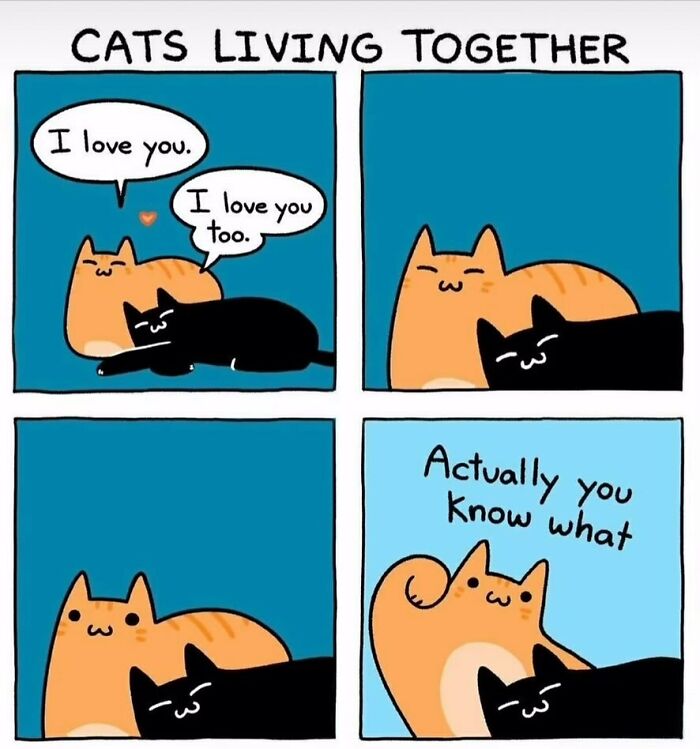 134 Funny And Adorable Animal Memes To Turn Your Day Around