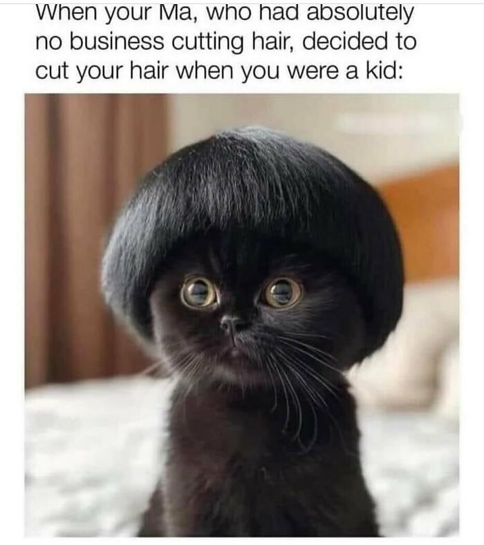 134 Funny And Adorable Animal Memes To Turn Your Day Around