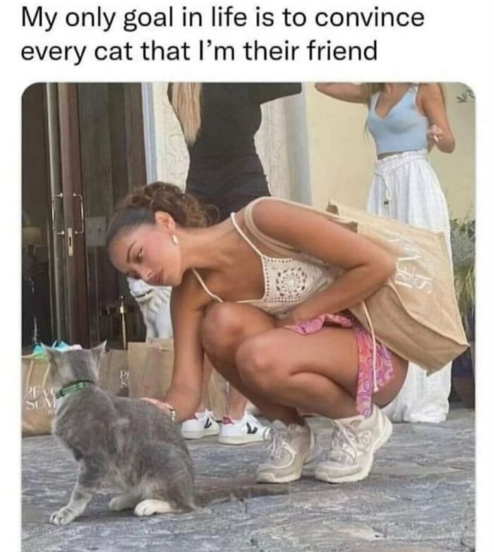 134 Funny And Adorable Animal Memes To Turn Your Day Around