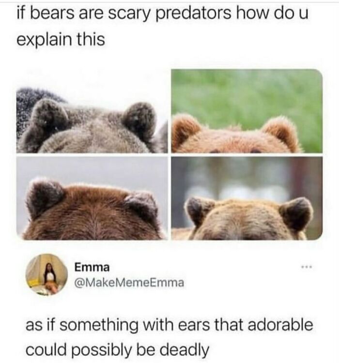 134 Funny And Adorable Animal Memes To Turn Your Day Around