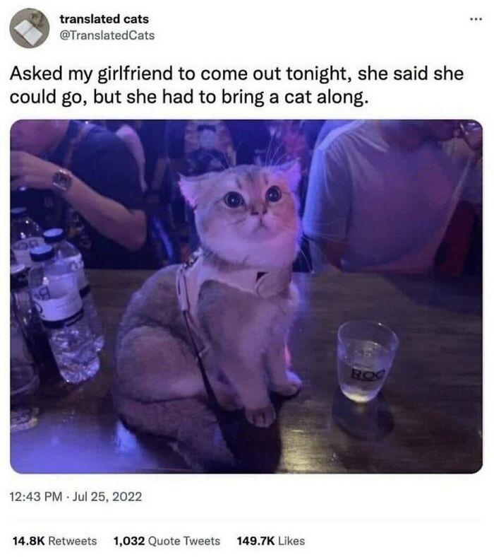 134 Funny And Adorable Animal Memes To Turn Your Day Around