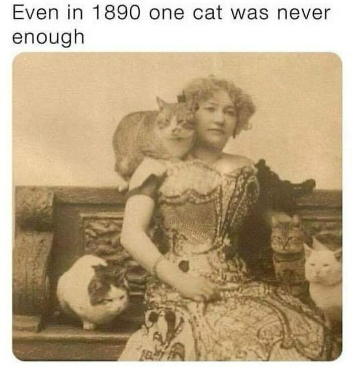 134 Funny And Adorable Animal Memes To Turn Your Day Around
