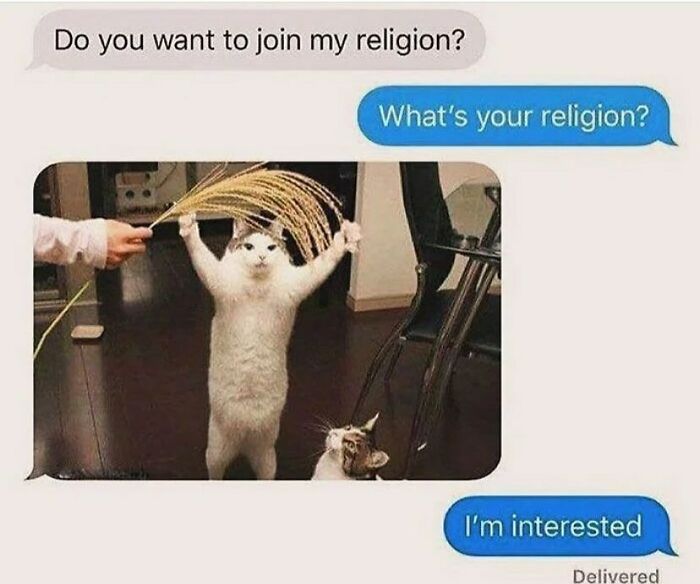 134 Funny And Adorable Animal Memes To Turn Your Day Around