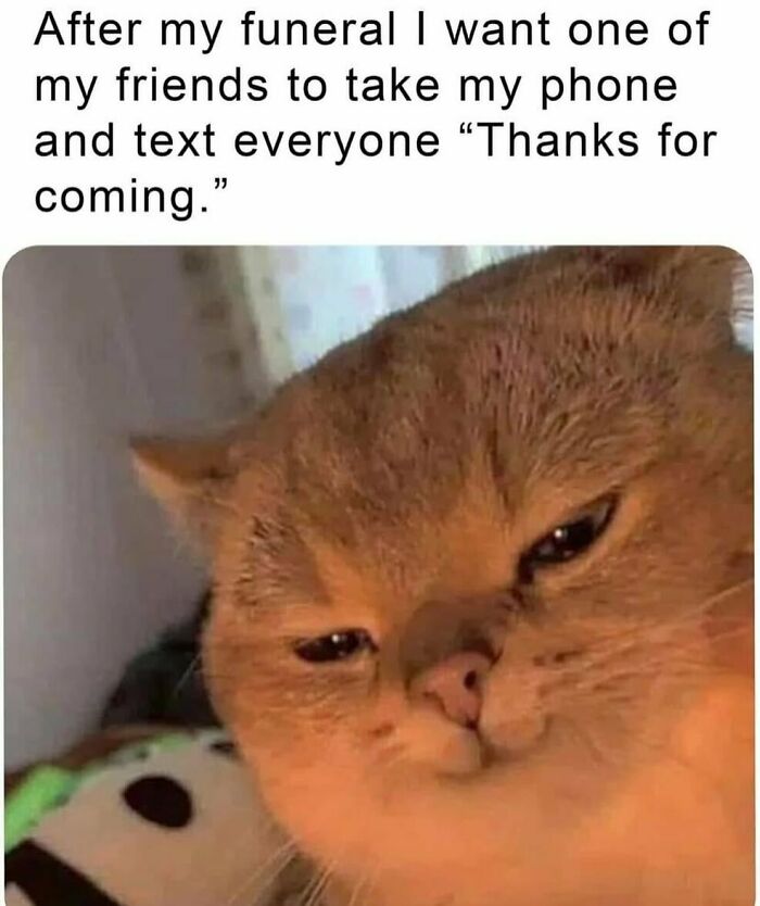 134 Funny And Adorable Animal Memes To Turn Your Day Around