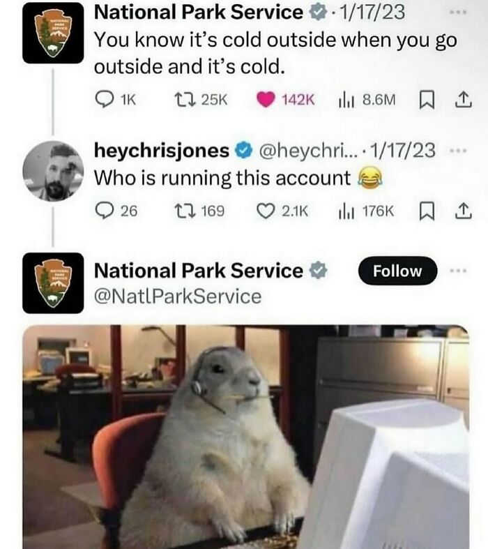 134 Funny And Adorable Animal Memes To Turn Your Day Around