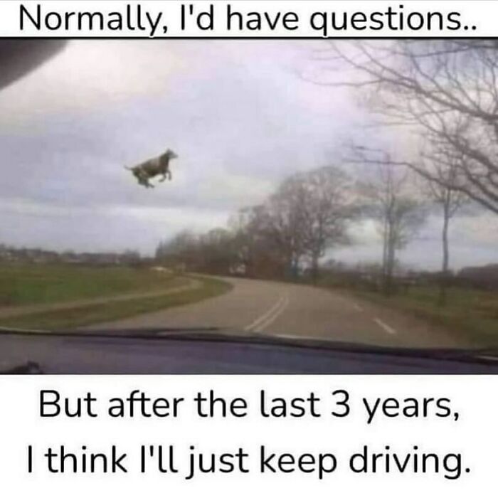 134 Funny And Adorable Animal Memes To Turn Your Day Around