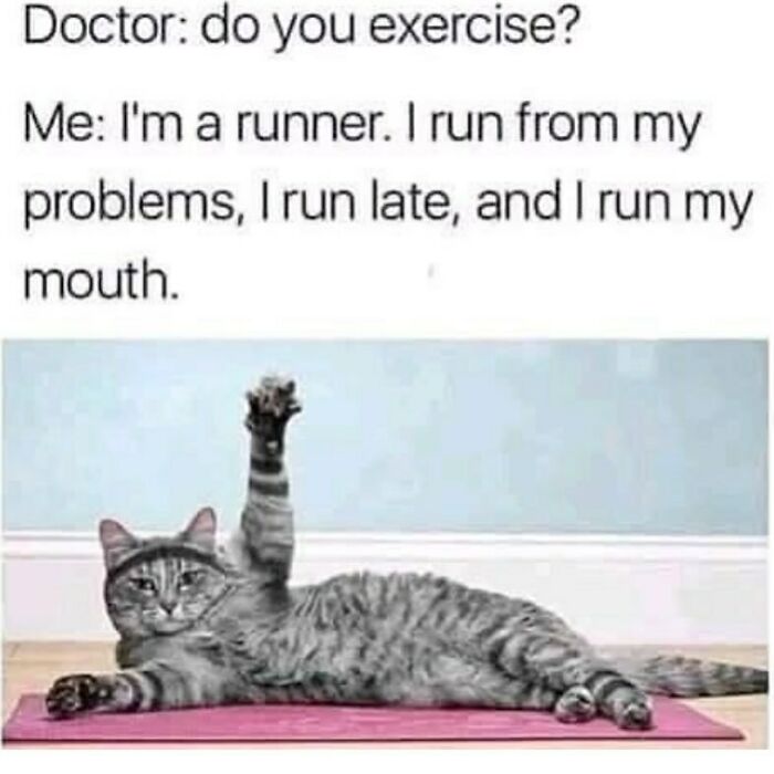 134 Funny And Adorable Animal Memes To Turn Your Day Around
