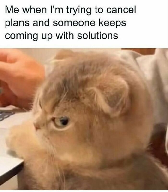 134 Funny And Adorable Animal Memes To Turn Your Day Around