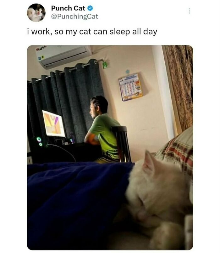 134 Funny And Adorable Animal Memes To Turn Your Day Around