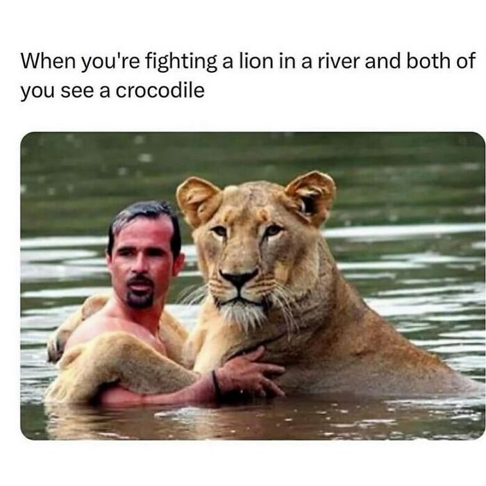 134 Funny And Adorable Animal Memes To Turn Your Day Around