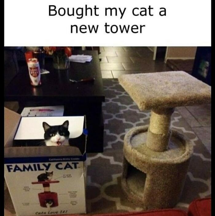134 Funny And Adorable Animal Memes To Turn Your Day Around