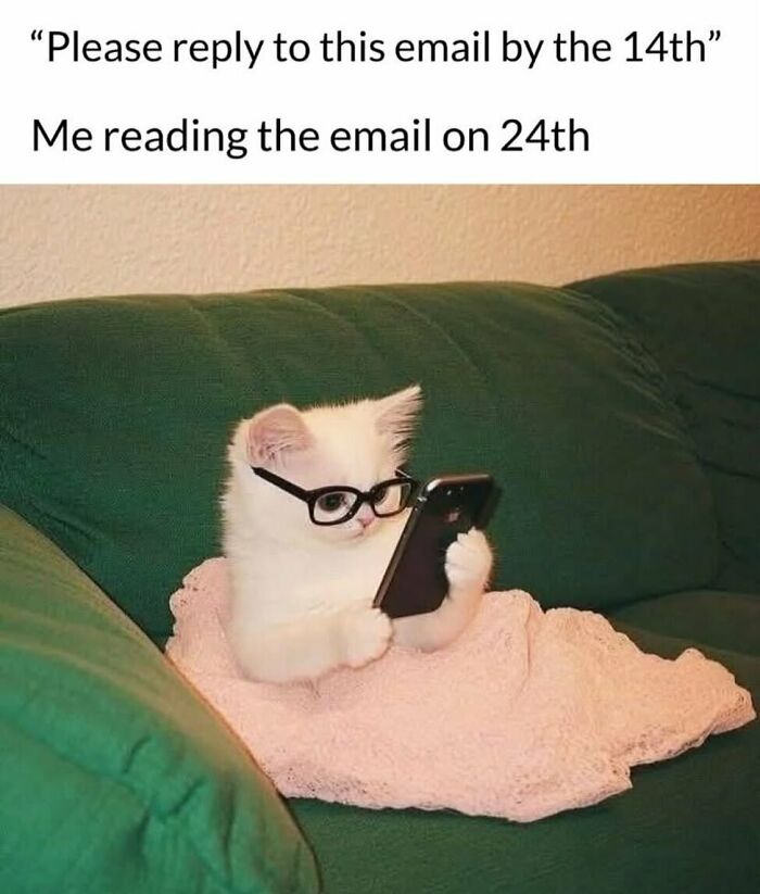 134 Funny And Adorable Animal Memes To Turn Your Day Around