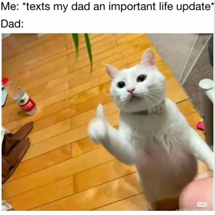 134 Funny And Adorable Animal Memes To Turn Your Day Around