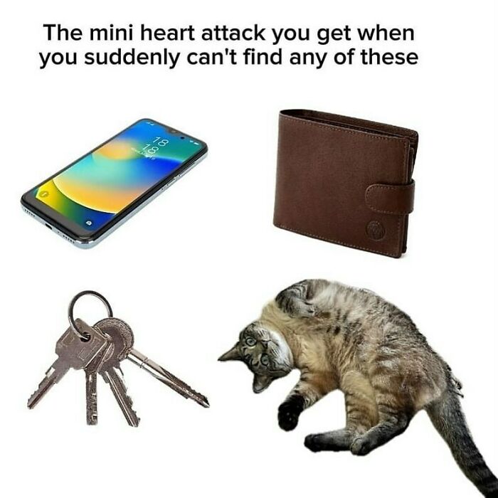 134 Funny And Adorable Animal Memes To Turn Your Day Around