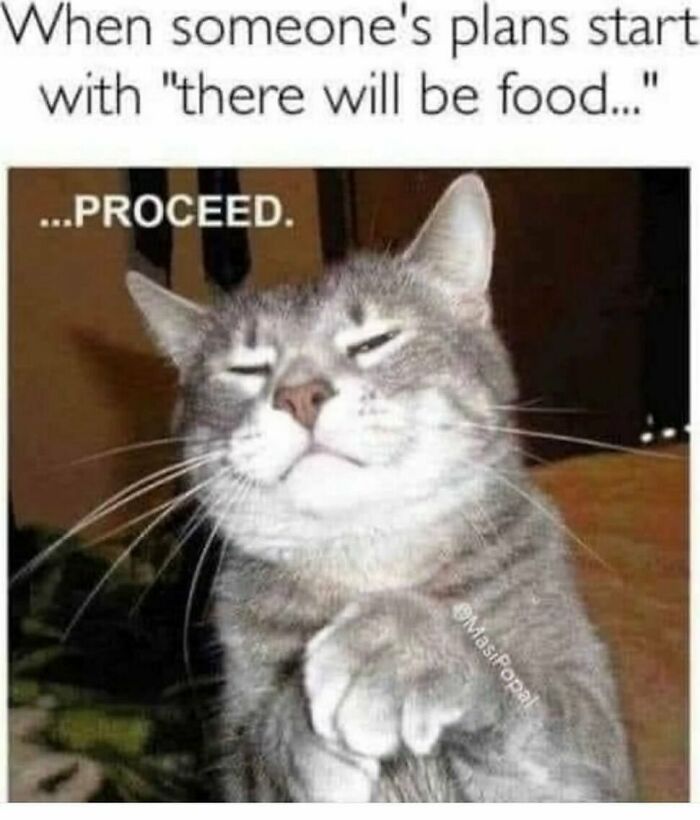 134 Funny And Adorable Animal Memes To Turn Your Day Around