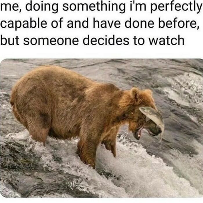134 Funny And Adorable Animal Memes To Turn Your Day Around