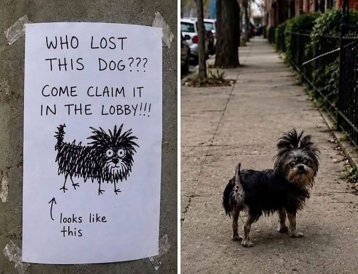 97 Ridiculous Signs That Accidentally Became Comedy Gold 97 Ridiculous Signs That Accidentally Became Comedy Gold