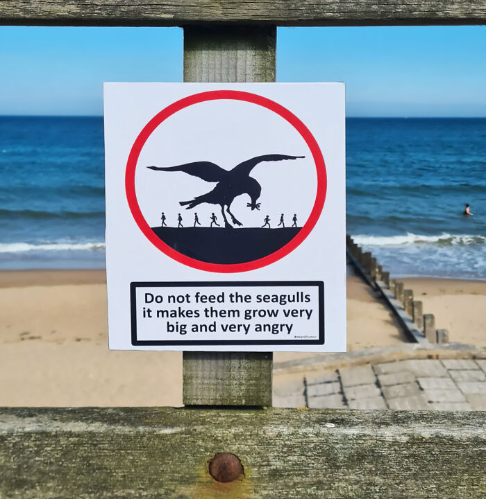 97 Ridiculous Signs That Accidentally Became Comedy Gold 97 Ridiculous Signs That Accidentally Became Comedy Gold