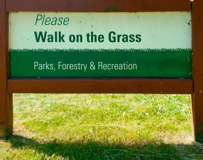 97 Ridiculous Signs That Accidentally Became Comedy Gold 97 Ridiculous Signs That Accidentally Became Comedy Gold