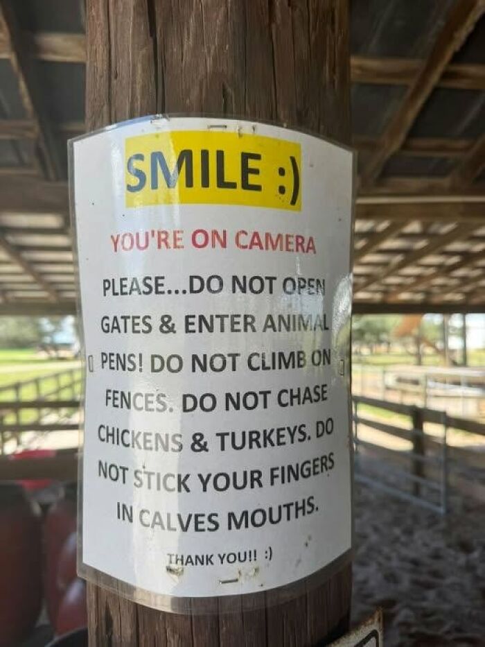 97 Ridiculous Signs That Accidentally Became Comedy Gold 97 Ridiculous Signs That Accidentally Became Comedy Gold