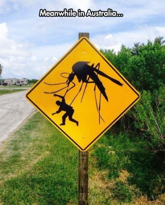 97 Ridiculous Signs That Accidentally Became Comedy Gold 97 Ridiculous Signs That Accidentally Became Comedy Gold