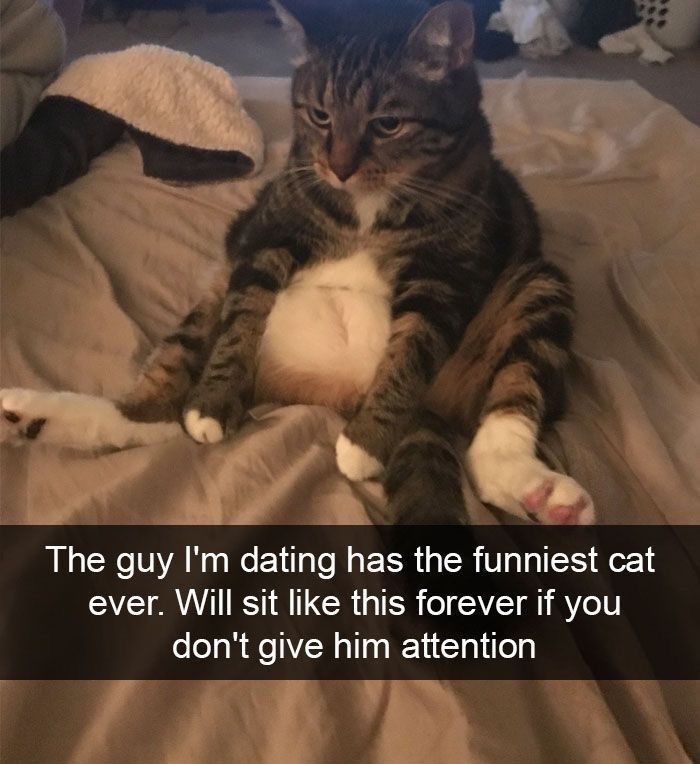 Cats Really Said “Catch Me Being Weird” In These 77 Out-Of-Context Photos Cats Really Said “Catch Me Being Weird” In These 77 Out-Of-Context Photos