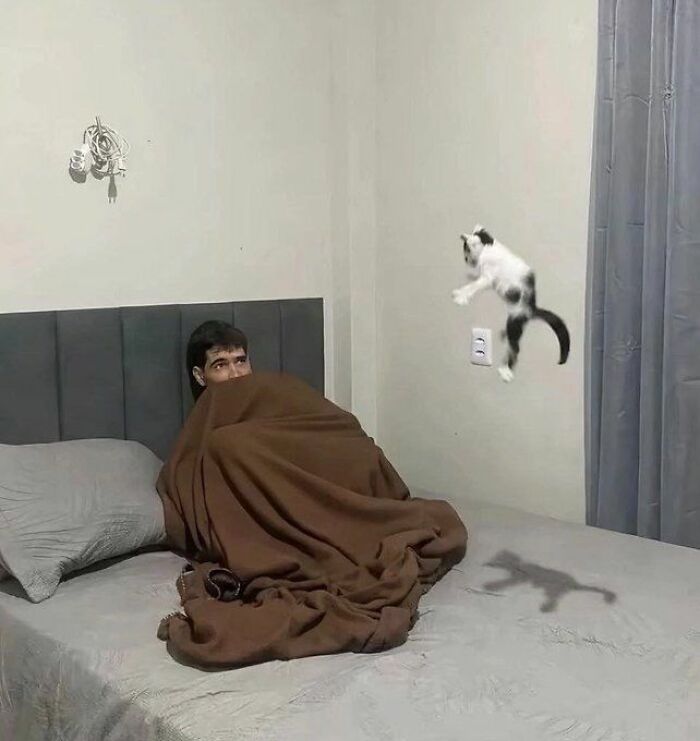 Cats Really Said “Catch Me Being Weird” In These 77 Out-Of-Context Photos Cats Really Said “Catch Me Being Weird” In These 77 Out-Of-Context Photos