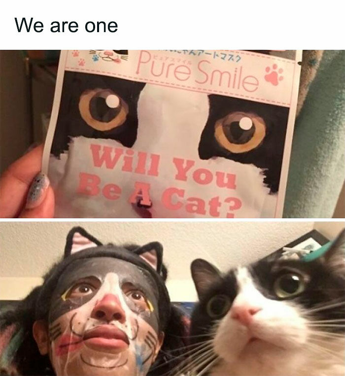 Cats Really Said “Catch Me Being Weird” In These 77 Out-Of-Context Photos Cats Really Said “Catch Me Being Weird” In These 77 Out-Of-Context Photos