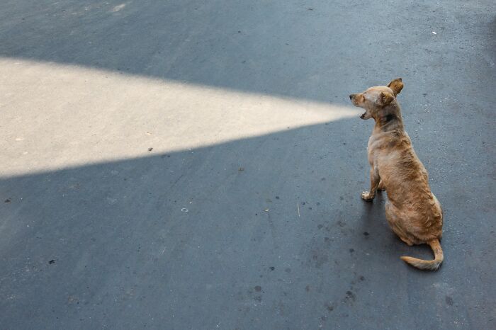 23 Best Street Photos From The 2026 Macadam Awards That Capture Life&rsquo;s Funniest Coincidences