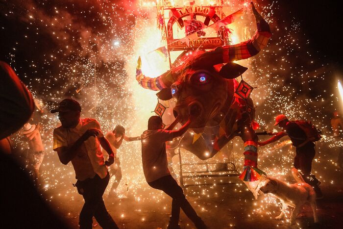 23 Best Street Photos From The 2026 Macadam Awards That Capture Life&rsquo;s Funniest Coincidences