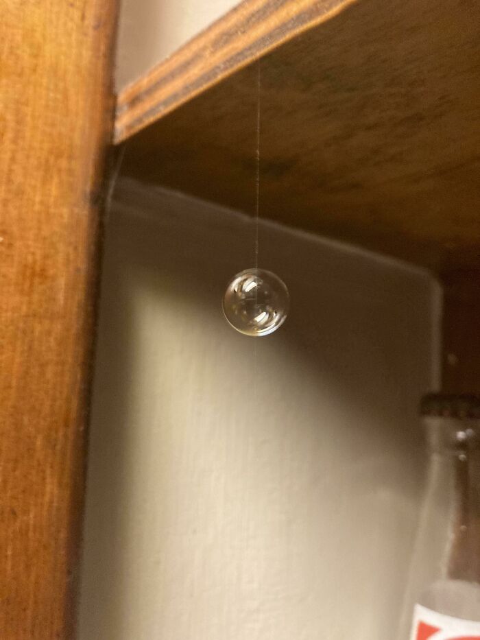 100 Extremely Unlikely Moments That People Somehow Managed To Capture