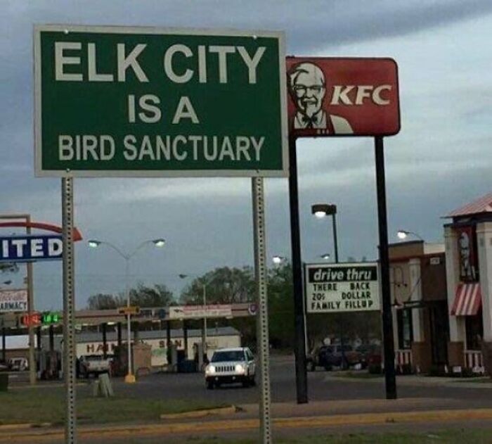100 Extremely Unlikely Moments That People Somehow Managed To Capture