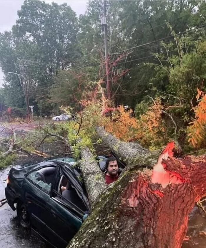 100 Extremely Unlikely Moments That People Somehow Managed To Capture