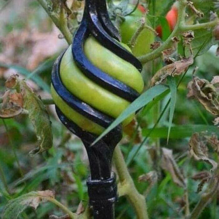 100 Extremely Unlikely Moments That People Somehow Managed To Capture