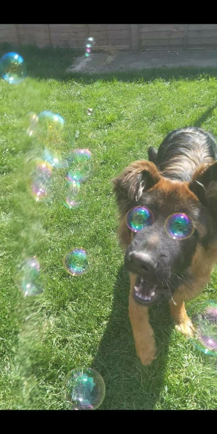 100 Extremely Unlikely Moments That People Somehow Managed To Capture