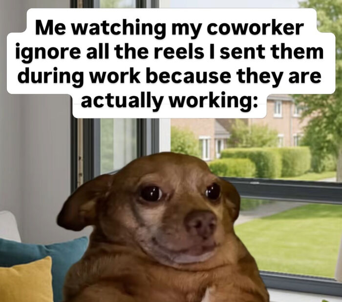 48 Relatable Work Memes For All Of Us Who Are Trapped In This Hamster Wheel (New Pics)