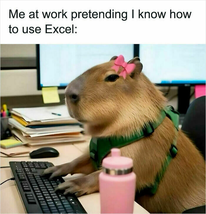 48 Relatable Work Memes For All Of Us Who Are Trapped In This Hamster Wheel (New Pics)