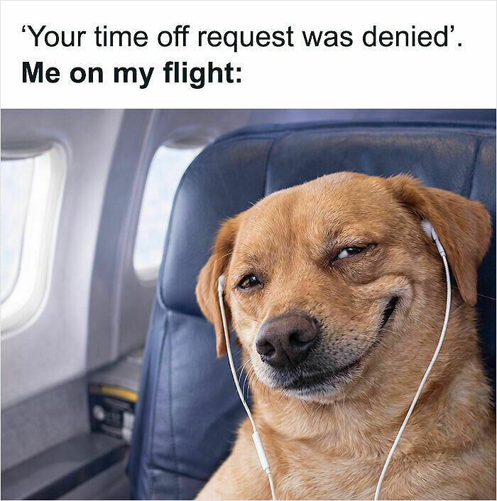 48 Relatable Work Memes For All Of Us Who Are Trapped In This Hamster Wheel (New Pics)