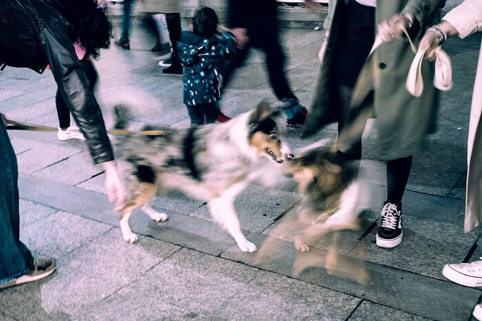 This Street Photographer Captured The Odd Coincidences And Scenes Most People Walk Right Past (32 Pics) This Street Photographer Captured The Odd Coincidences And Scenes Most People Walk Right Past (32 Pics)