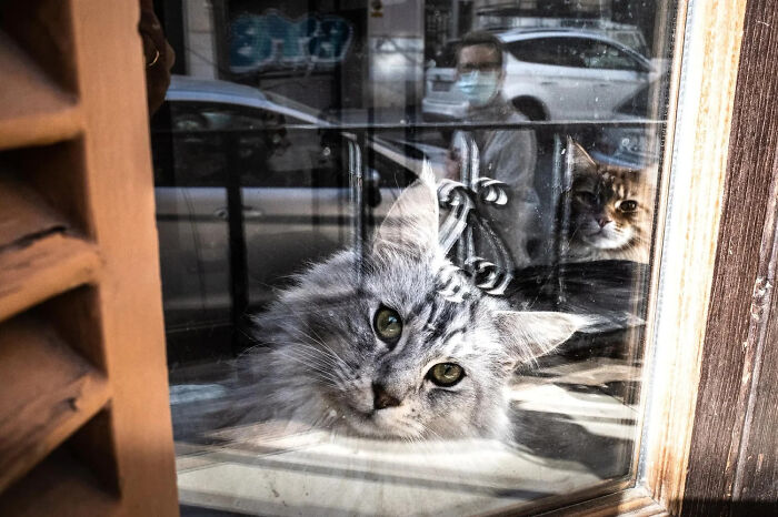 This Street Photographer Captured The Odd Coincidences And Scenes Most People Walk Right Past (32 Pics) This Street Photographer Captured The Odd Coincidences And Scenes Most People Walk Right Past (32 Pics)