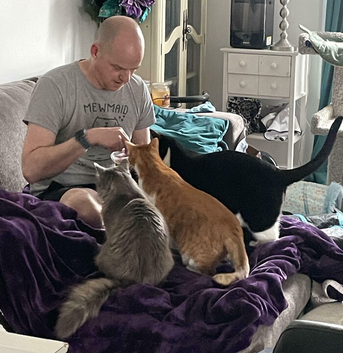 92 Hilarious Times People Interrupted Cats’ Important Meetings (New Pics) 92 Hilarious Times People Interrupted Cats’ Important Meetings (New Pics)