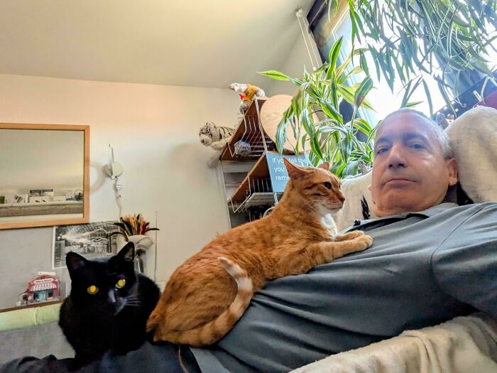 92 Hilarious Times People Interrupted Cats’ Important Meetings (New Pics) 92 Hilarious Times People Interrupted Cats’ Important Meetings (New Pics)