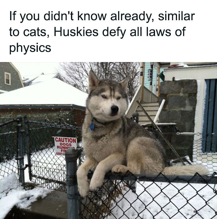 69 Baffling Images That Seem To Make Absolutely No Physical Sense 69 Baffling Images That Seem To Make Absolutely No Physical Sense