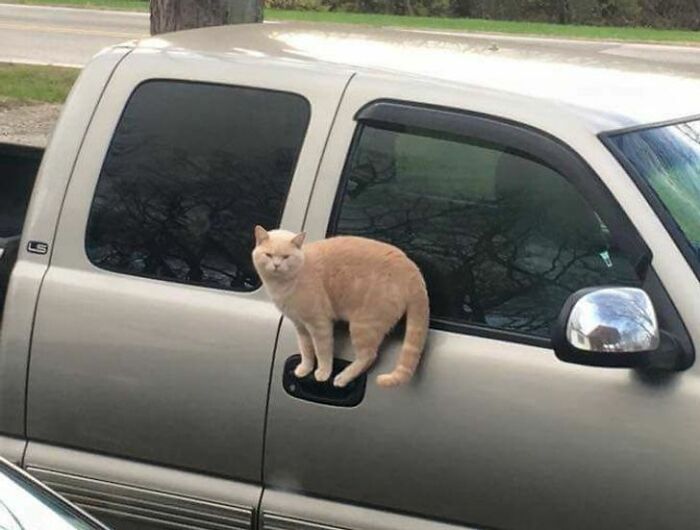 69 Baffling Images That Seem To Make Absolutely No Physical Sense 69 Baffling Images That Seem To Make Absolutely No Physical Sense