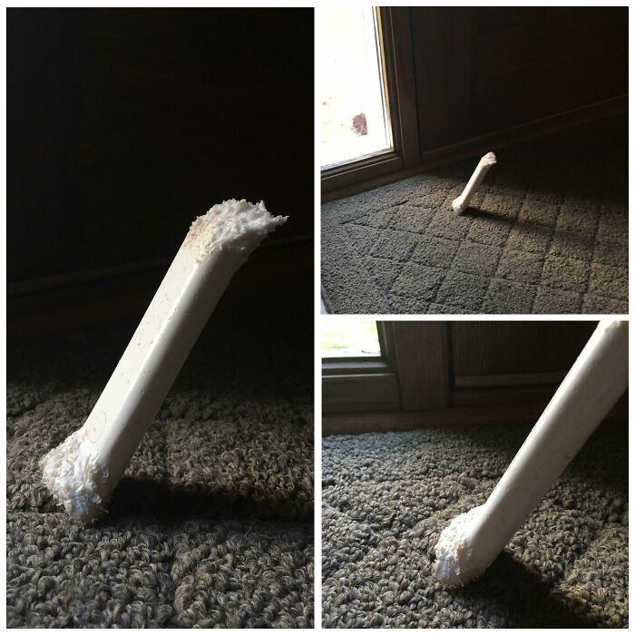 69 Baffling Images That Seem To Make Absolutely No Physical Sense 69 Baffling Images That Seem To Make Absolutely No Physical Sense