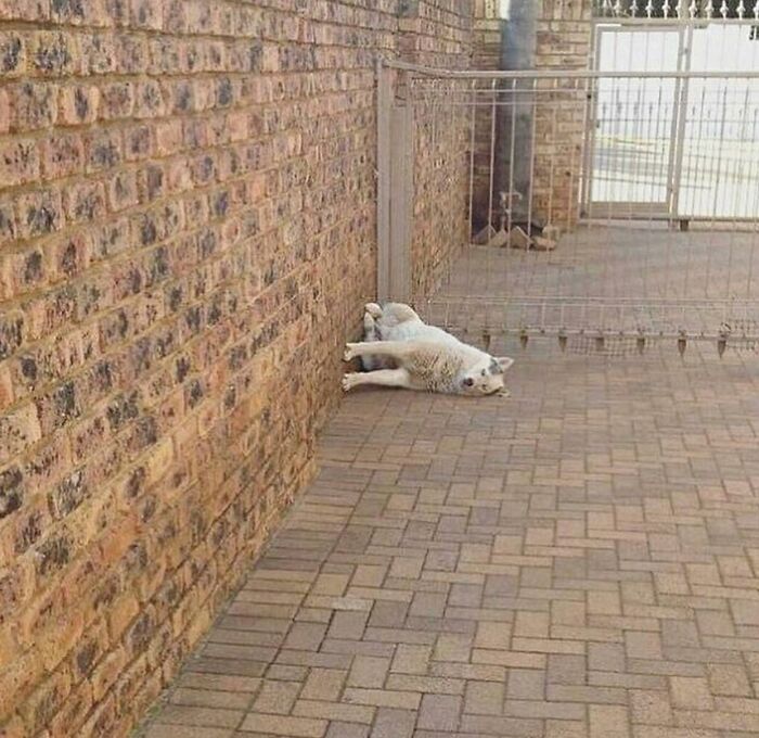 69 Baffling Images That Seem To Make Absolutely No Physical Sense 69 Baffling Images That Seem To Make Absolutely No Physical Sense