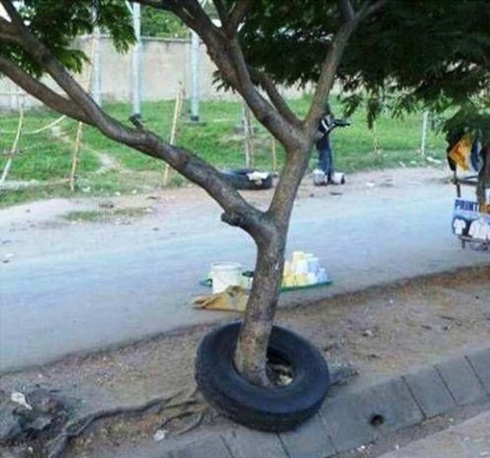 69 Baffling Images That Seem To Make Absolutely No Physical Sense 69 Baffling Images That Seem To Make Absolutely No Physical Sense