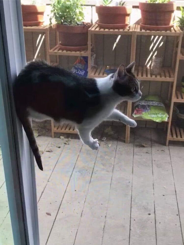 69 Baffling Images That Seem To Make Absolutely No Physical Sense 69 Baffling Images That Seem To Make Absolutely No Physical Sense