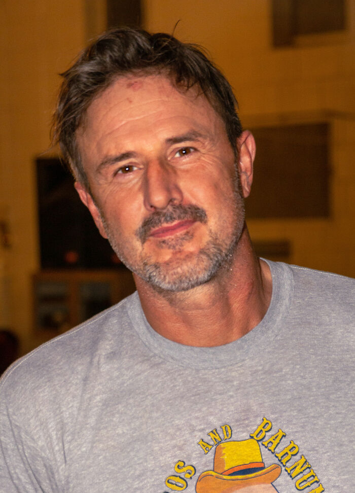 David Arquette: Bio And Career Highlights David Arquette: Bio And Career Highlights