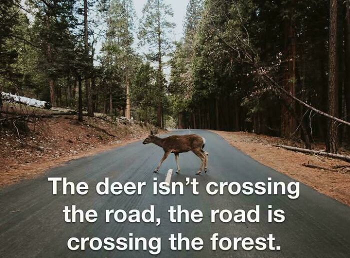 50 Wild Posts From The Online Group &lsquo;Delusions Of Adequacy&rsquo; That Tell The Harsh Truth (New Pics)